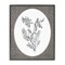 Stupell Industries Vintage Forest Botanicals Framed Giclee By Lettered and Lined